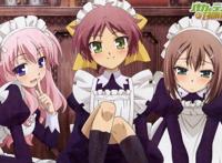 动漫：这几部后宫番的神漫，只有看过的人懂！