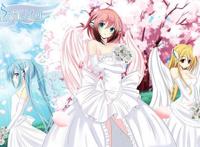 盘点四个有大量剧集的真后宫动漫，绝对一次让你们满足