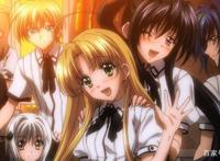 这些后宫类动漫，你有看过吗？