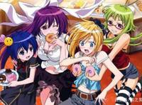 只有老司机才看过的8部后宫动画，其实我们都老了