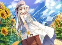 动漫：好看的后宫番有哪些？都在这儿啦！