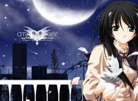 动漫：后宫番大盘点，国漫也喜欢开后宫哦！