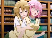 日本后宫动画片，日本后宫动漫，好看的日本后宫动漫推荐！