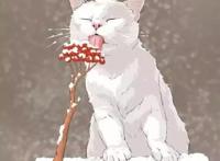 “傻姑娘，看一眼你的微信头像，就知道你是什么性格”