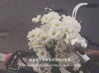 古风动漫女生头像&绕过江山错落，才发现你是人间星火