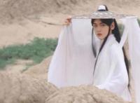 谢怜比花城宽出一半，掀斗笠不忍直视，《天官赐福》毁的体无完肤