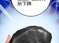 绝世唐门：鉴宝大师天梦冰蚕上线：雨浩那是万年鲸胶，买买买！