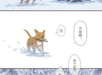 二哈和他的白猫师尊，傻狗给年糕精解冻，楚晚宁气得拿出天问