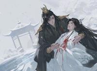 二哈和他的白猫师尊，就算和你一起背负骂名，也要把你带走