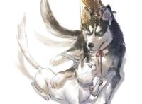 《二哈和他的白猫师尊》：论踏仙君转变成踏酸酸的辛酸历程