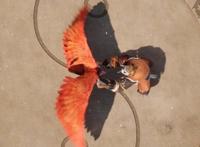 妖神记25集：最后的天才战，虎牙熊猫霸气打脸，吓坏紫芸妹妹！