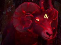 《妖神记》聂离的重生是为了守护光辉之城和惩罚叛逃的神圣世家