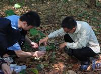 世界首次报道！海珠湿地公园发现昆虫新物种