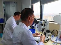 世界首次报道！海珠湿地公园发现昆虫新物种