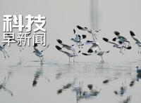 黑龙江黑河疫情已发生社区传播；日本批准基因编辑河豚上市销售丨科技早新闻