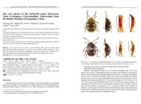 以“海珠”命名！