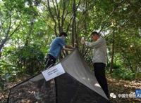 广东科研团队在城市湿地发现一个稀有昆虫新物种