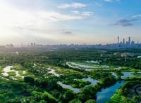 全球首次发现！以“海珠”命名