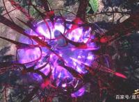 斗罗大陆：柳二龙发怒了，原来大师是个妻管严