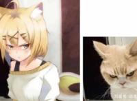 三次元变成二次元，小萝莉很可爱，兽娘送福利，而她换了个人