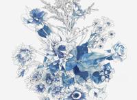 动漫插画｜pixiv综合榜分享353