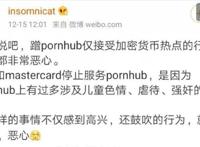 继“灰度概念币”之后，“P站概念币”横空出世