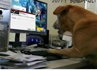 原神？2077？我直接充了永久的P站会员！