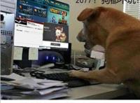 原神？2077？我直接充了永久的P站会员！