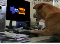 原神？2077？我直接充了永久的P站会员！