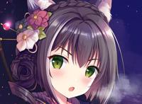 P站助手推荐P站助手哪个最好用