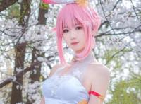 Cosplay欣赏-《崩坏学园》八重樱
