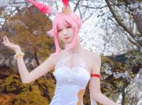 Cosplay欣赏-《崩坏学园》八重樱