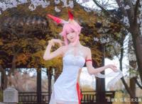 Cosplay欣赏-《崩坏学园》八重樱