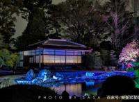 日本京都首屈一指的赏樱胜地，拥有“樱花王者”称誉的八重樱！