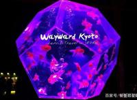 日本京都首屈一指的赏樱胜地，拥有“樱花王者”称誉的八重樱！