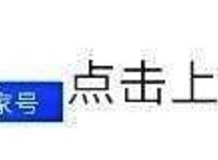 崩坏三：布洛妮娅姐姐，你还满意希尔的表现么？