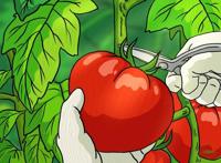 好看的动漫风背景图、平板壁纸