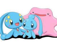 精灵宝可梦——神奥霏欧纳和苍海的王子玛纳霏