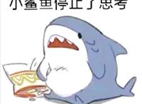 崩坏3：谁说SP不爱国？希儿厨高调登场，头像文字尽显双重震撼！