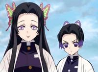 鬼灭之刃：蝶屋的七位姐妹你pick谁？蝴蝶发饰的颜色是标志性特征