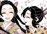 鬼灭之刃：蝶屋的七位姐妹你pick谁？蝴蝶发饰的颜色是标志性特征