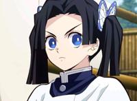 鬼灭之刃：蝶屋的七位姐妹你pick谁？蝴蝶发饰的颜色是标志性特征