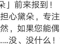 新舰娘黛朵意外撞脸天狼星？碧蓝航线又一位社保皇家女仆登场