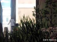 JOJO身世曝光！乔鲁诺能力初现，成为流氓巨星的信念