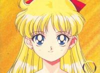 历代美少女战士登场人物人气投票，月野兔竟然排第七