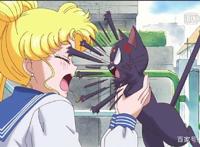 《美少女战士》月野兔被嘲笑是包子头，还被妖怪吓的哭