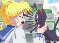 她是美少女战士中的月野兔，也是我心中的女英雄