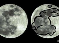 月亮上真的有兔子吗？这些动漫作品给你答案