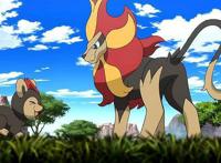 精灵宝可梦：凭一己之力阻止两大mega宝可梦的战斗，它很强大