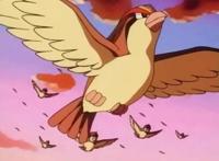 口袋妖怪：最后和智爷分开的宝可梦，全进化能否夺冠？